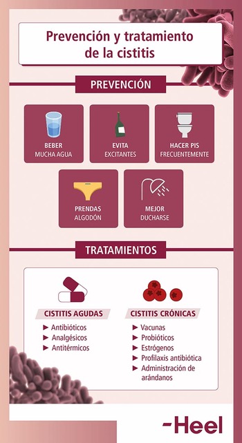 tratamiento-de-la-cistitis-heelprobiotics-heelespana