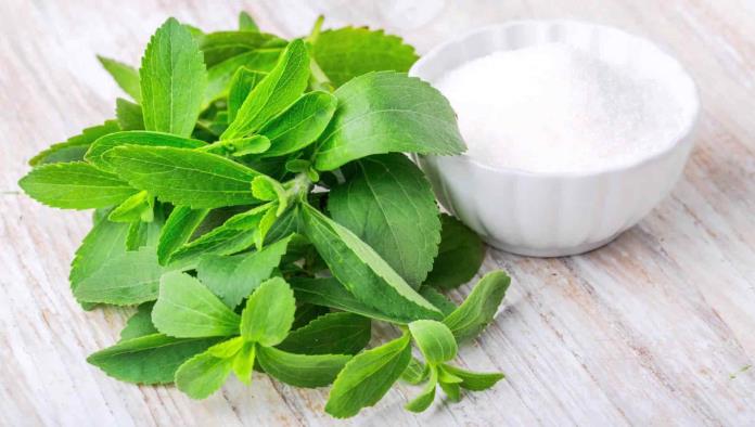 stevia